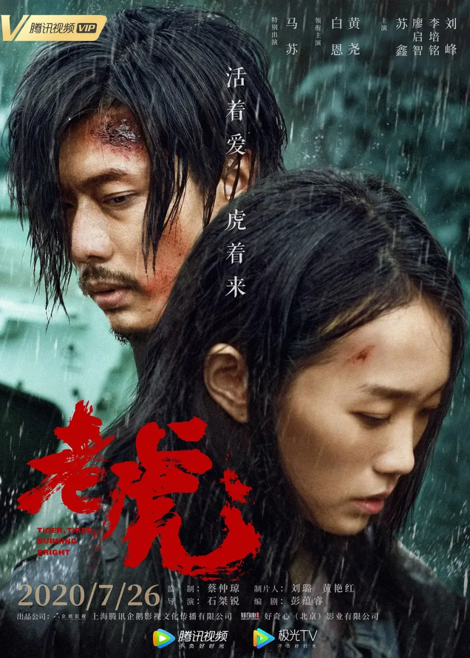 老虎 2020海报