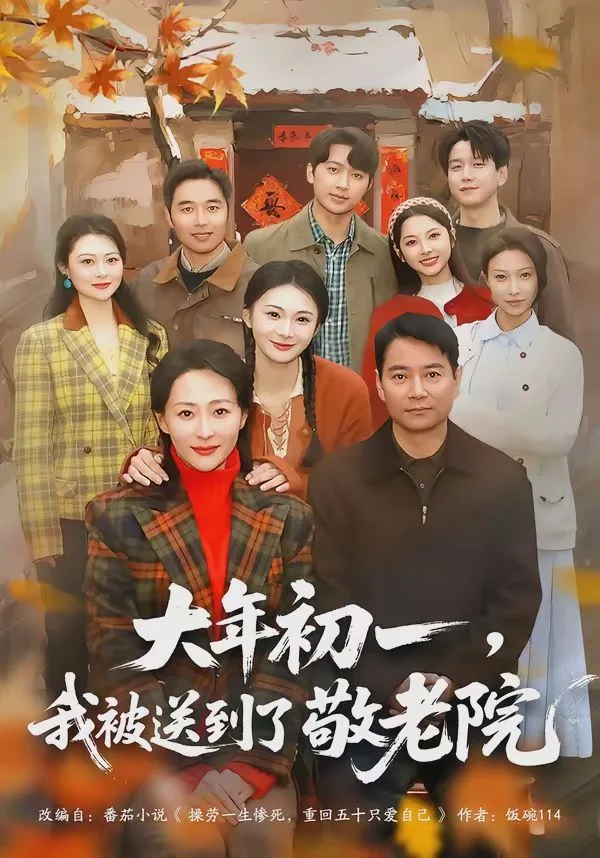 大年初一，我被送到了敬老院海报