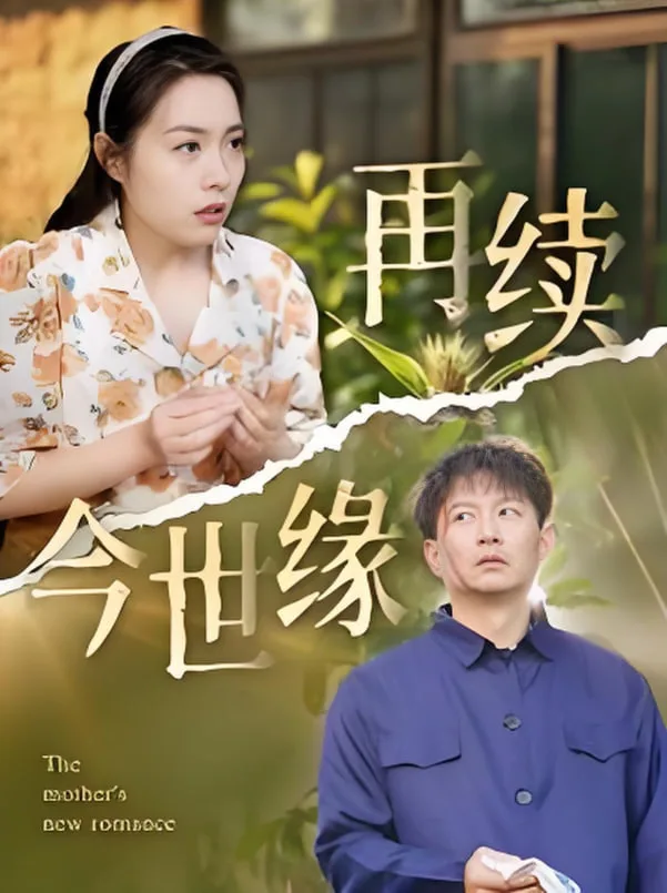 再续今世缘海报