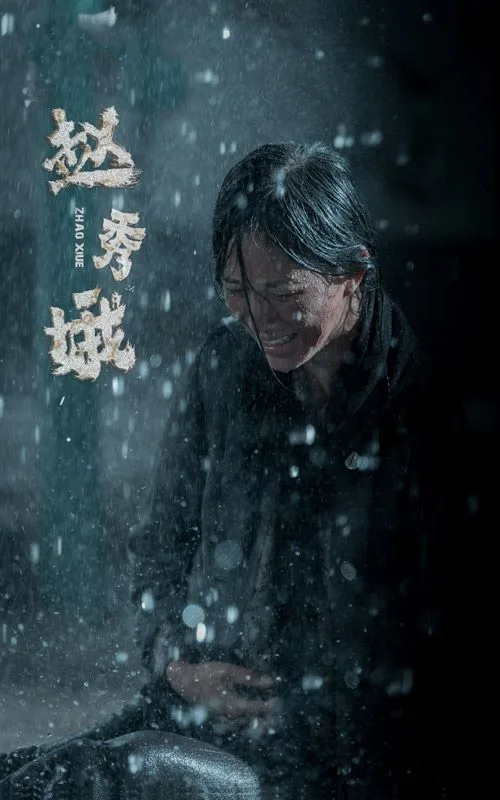 赵秀娥海报