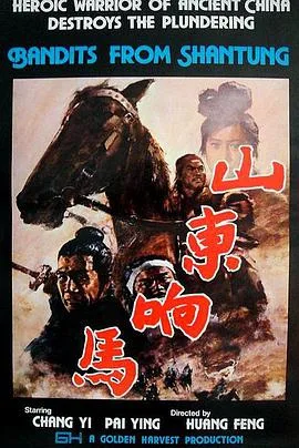 山东响马海报
