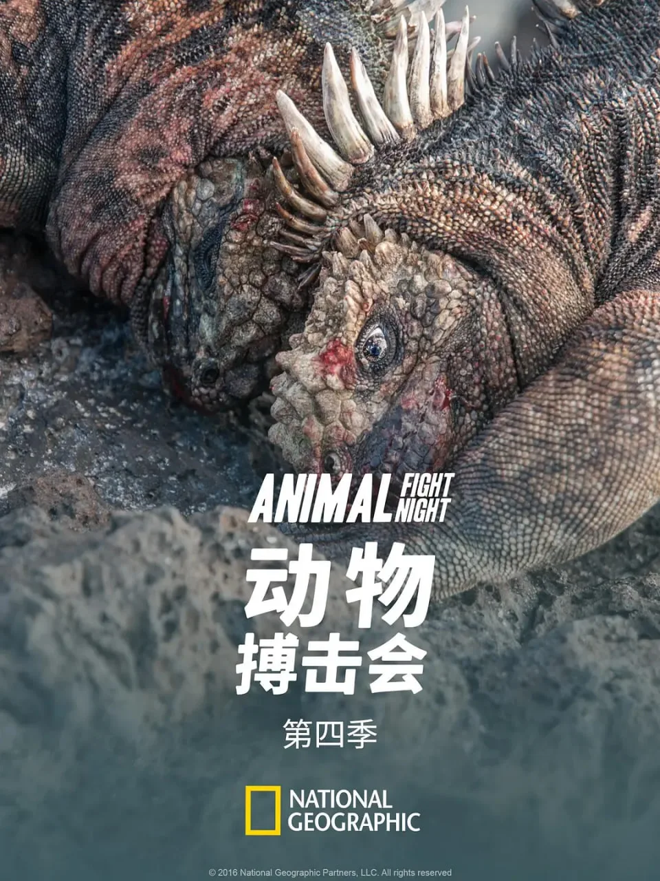动物搏击会 第四季海报