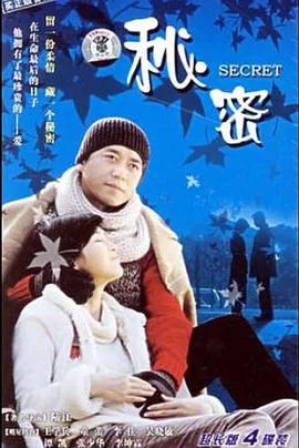 秘密海报