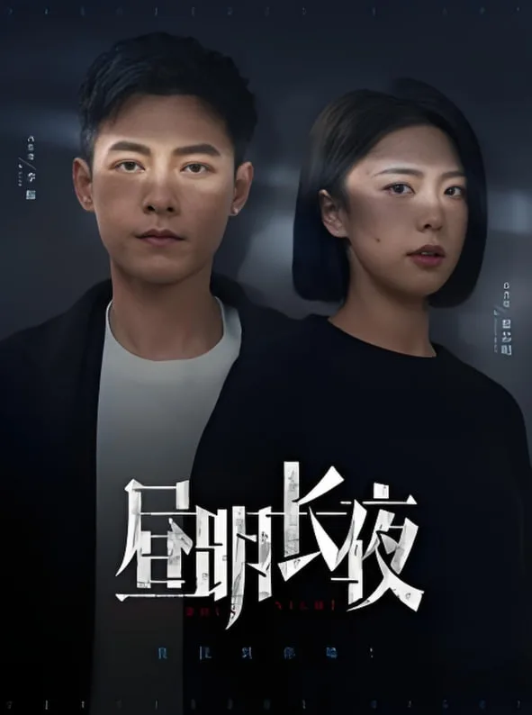 昼明长夜海报