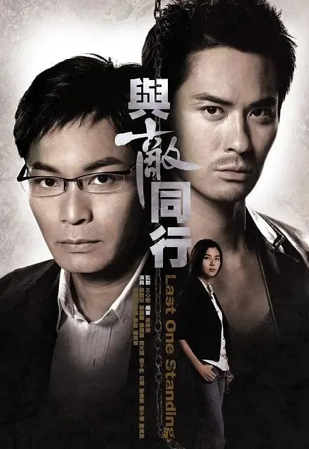 与敌同行海报