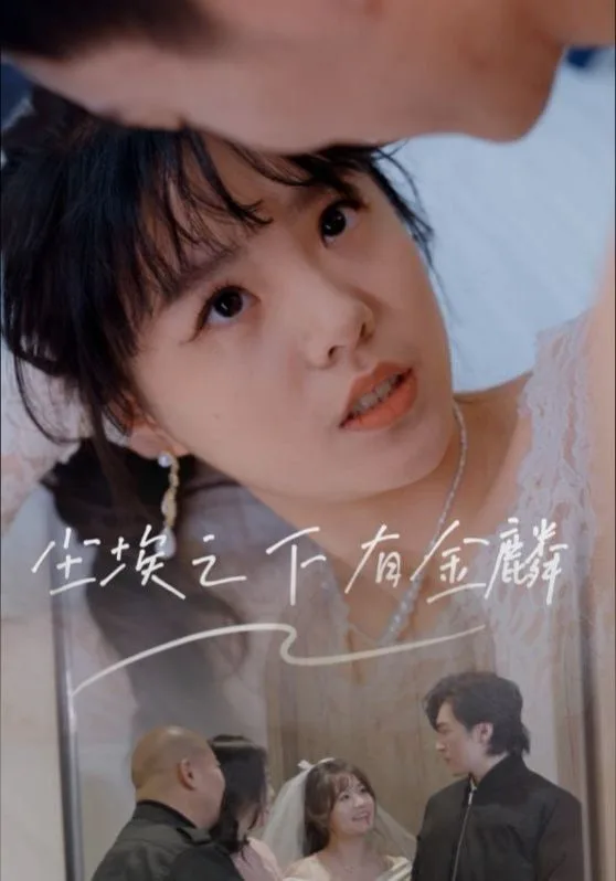 尘埃之下有金鳞海报