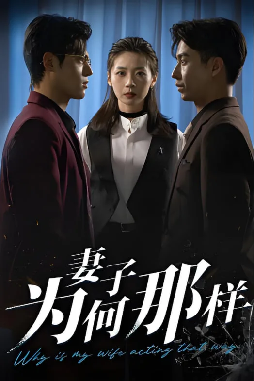 妻子为何那样海报