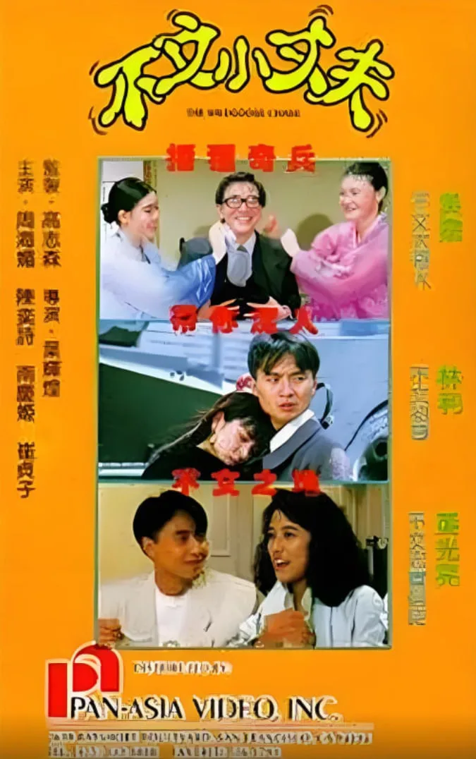不文小丈夫海报