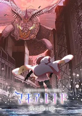 魔法纪录：魔法少女小圆外传海报