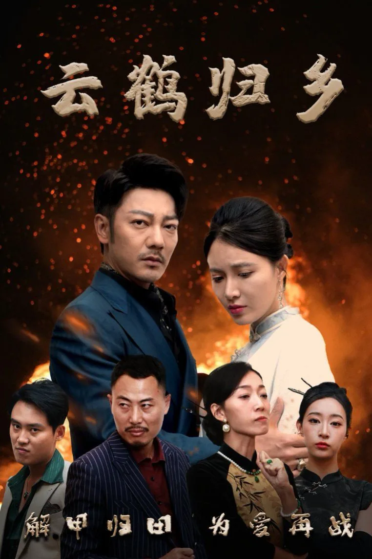 云鹤归乡海报