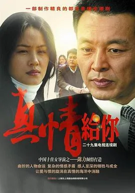 真情给你海报