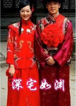 深宅如渊海报