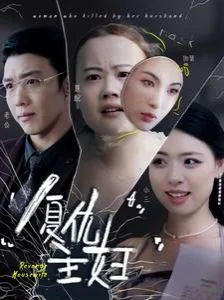 复仇主妇海报