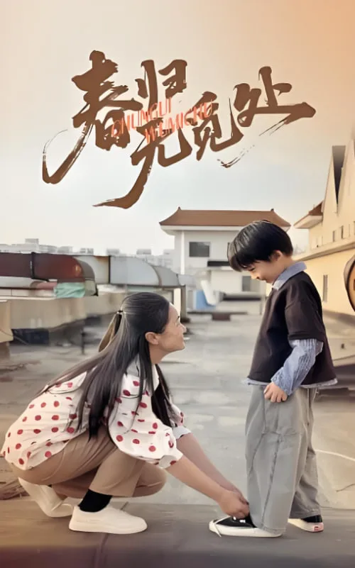 春归无觅处海报