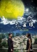 孔雀眼海报