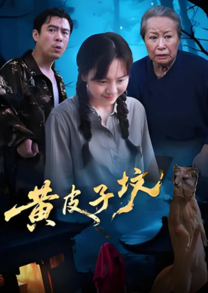 黄皮子坟海报