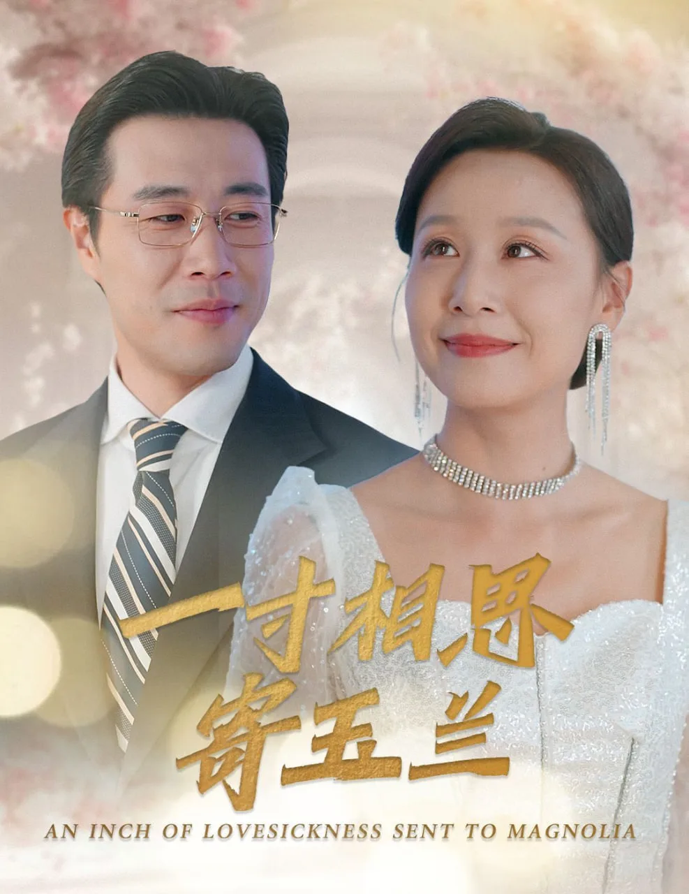 一寸相思寄玉兰海报