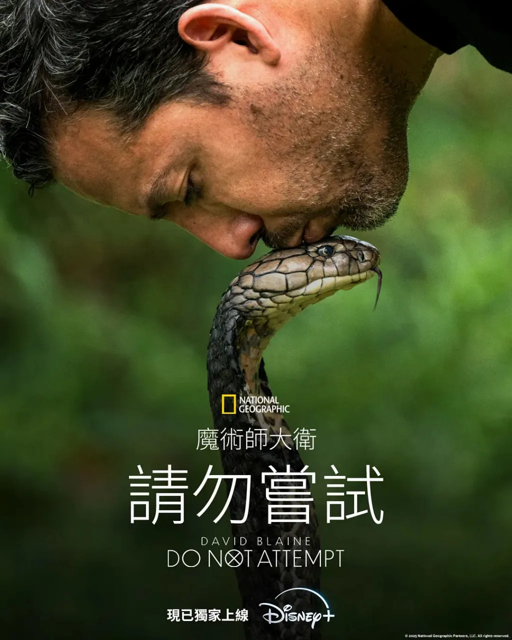 大卫·布雷恩：请勿尝试海报