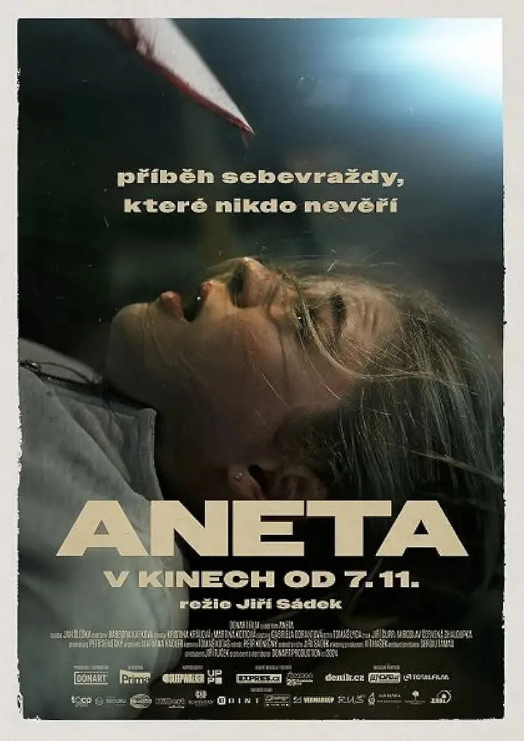 Aneta海报