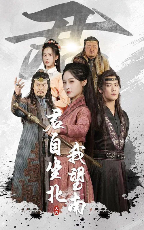 君自坐北我望南（我自迎风向故）海报
