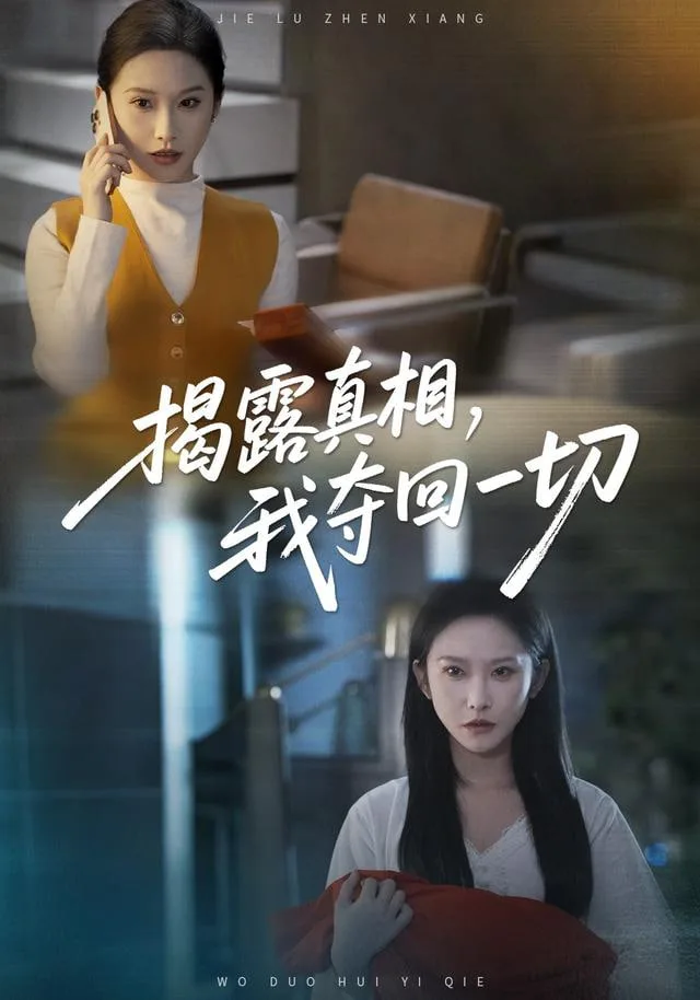 揭露真相，我夺回一切海报