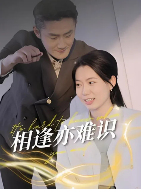 相逢亦难识海报