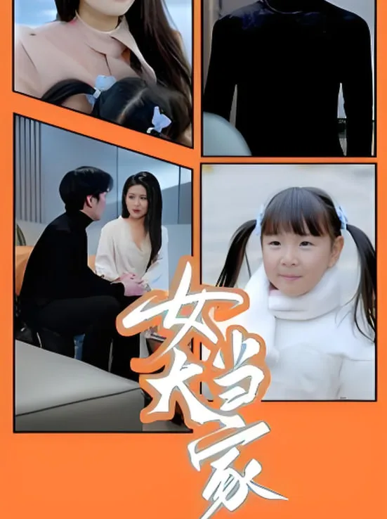 女大当家海报