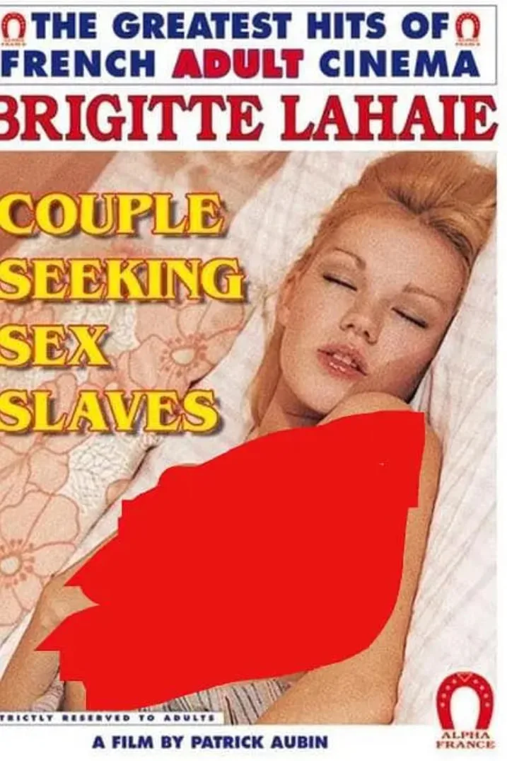 夫妇寻欢记海报