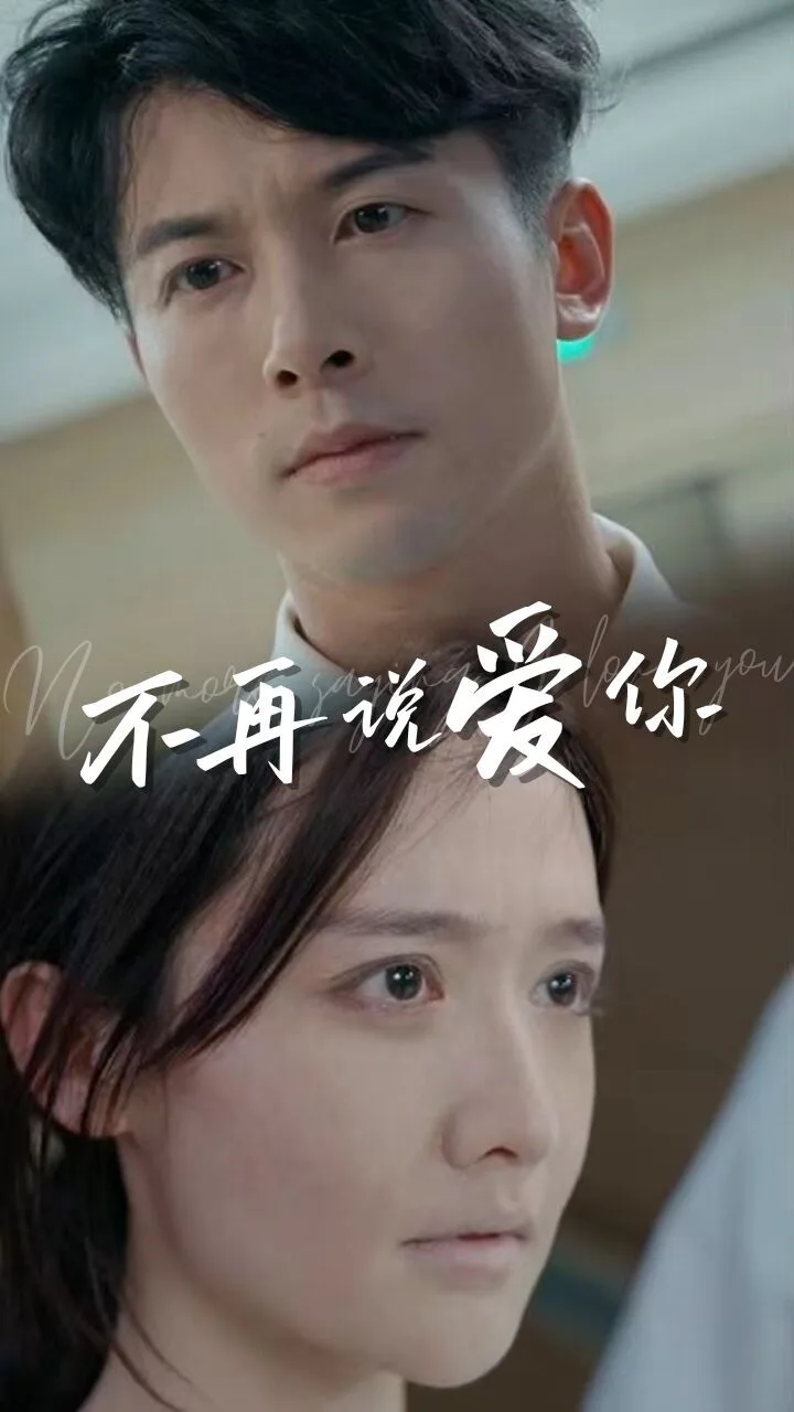 不再说爱你（女人为什么而活）海报