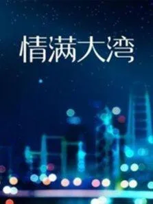 情满大湾海报
