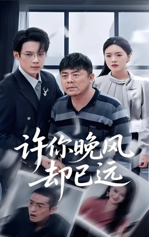 许你晚风却已远海报