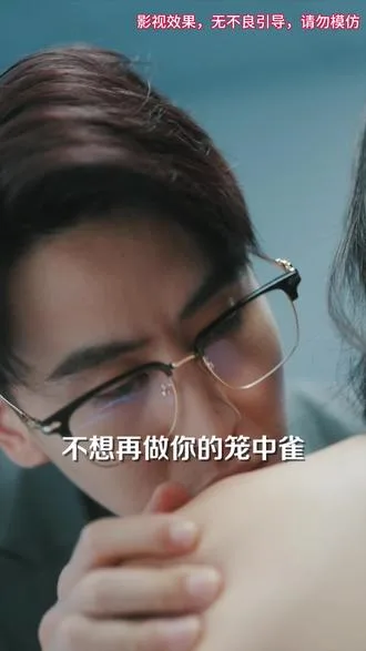 笼中雀海报