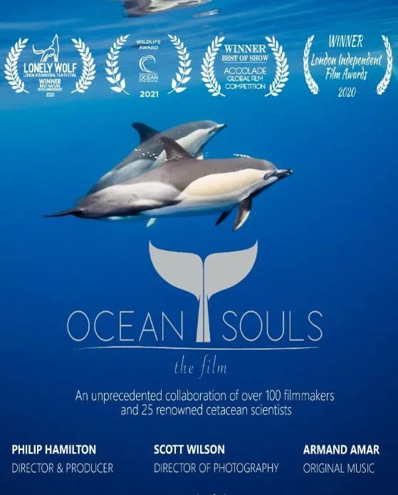 海洋之魂海报