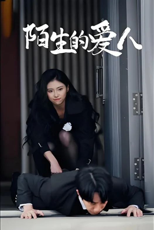 陌生的爱人海报