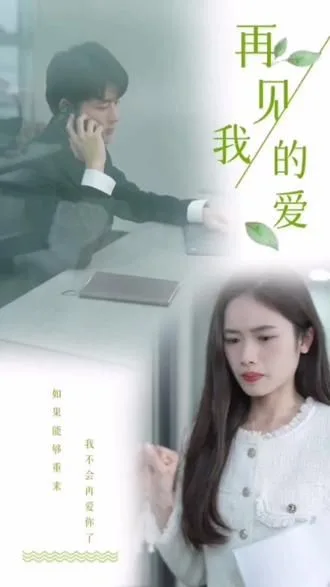再见，我的爱海报