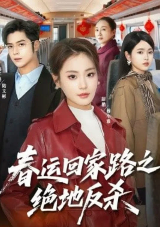 春运回家路之绝地反杀海报