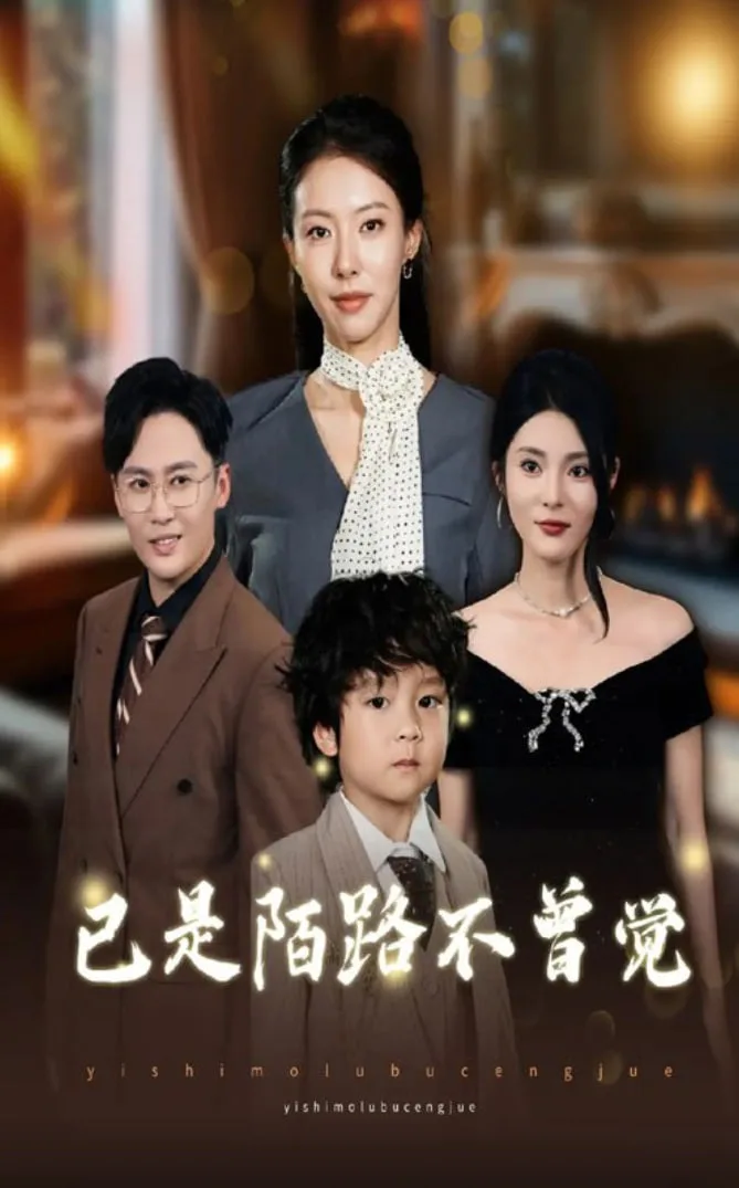 已是陌路不曾觉海报