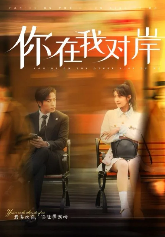 你在我对岸海报
