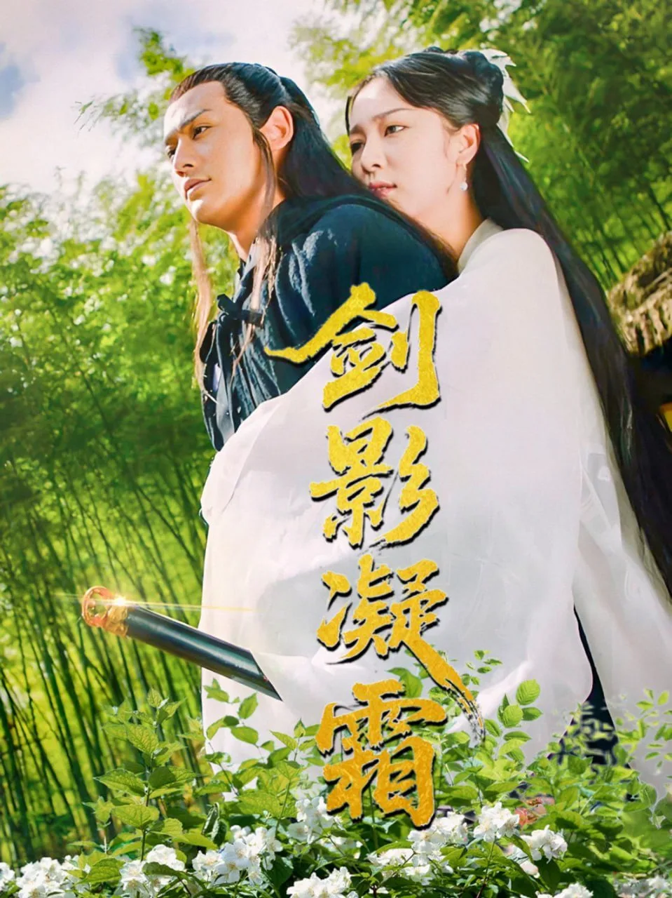剑影凝霜海报