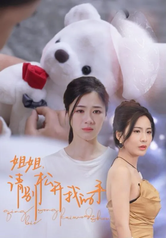 姐姐请别松开我的手海报