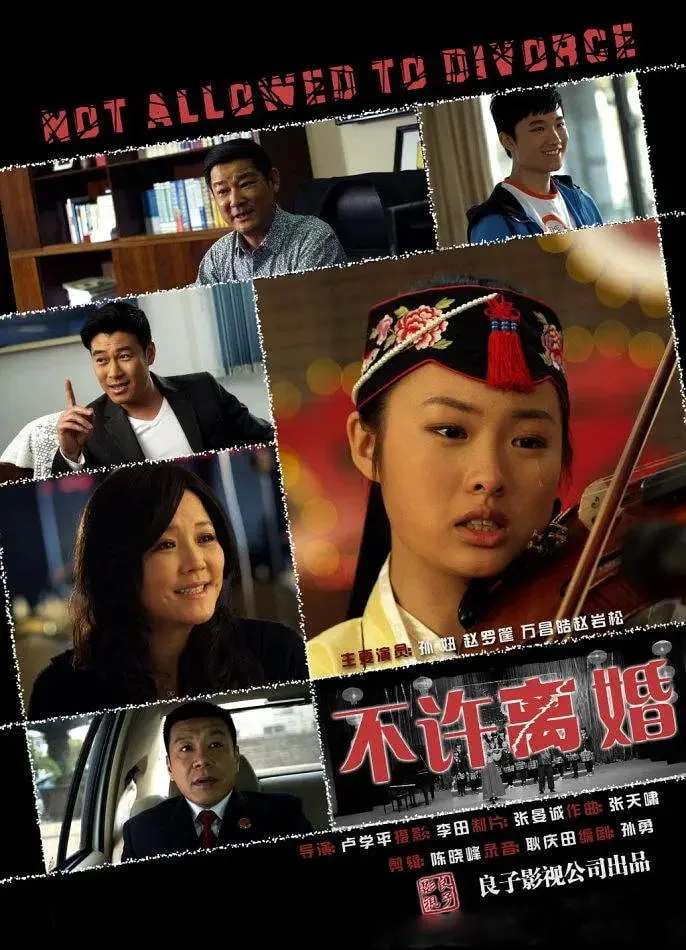 不许离婚 2013海报