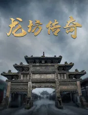 龙坊传奇海报