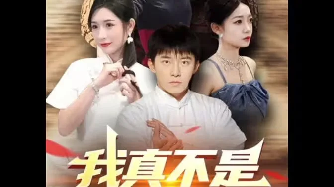 我真不是隐士高人海报