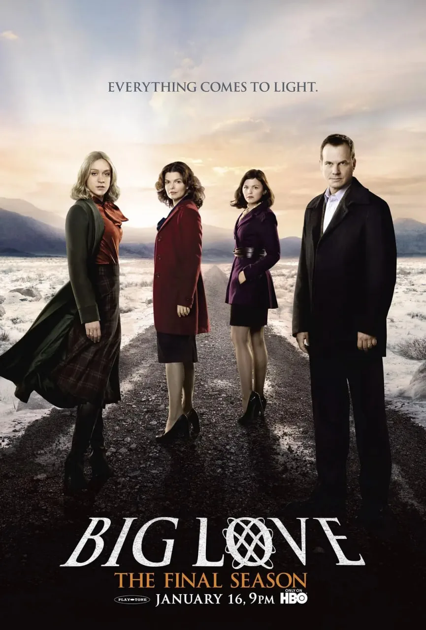 大爱 第五季海报