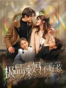 极品辣妈不好惹海报