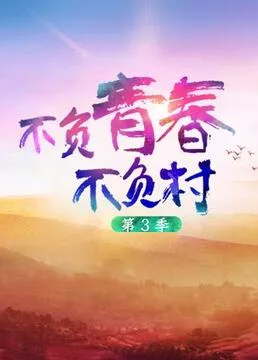 不负青春不负村 第三季海报