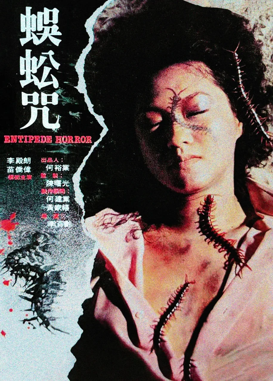 蜈蚣咒海报