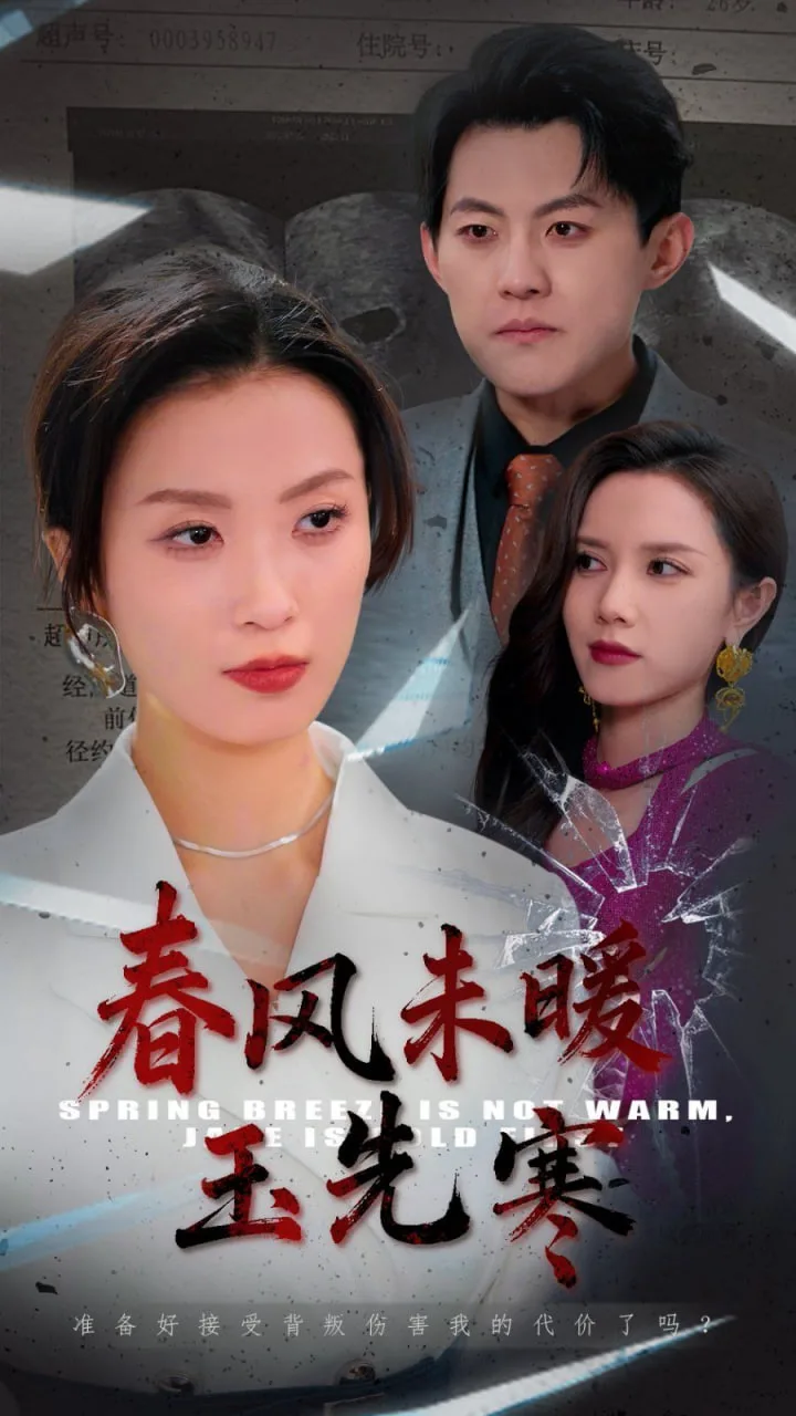 春风未暖玉先寒海报