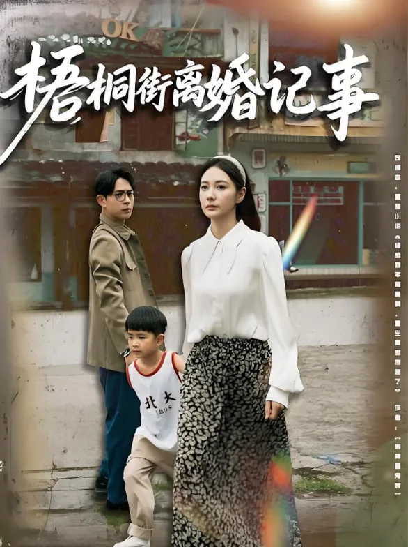 梧桐街离婚记事海报