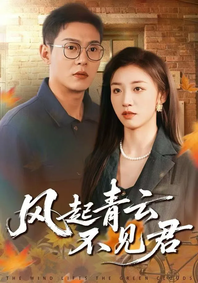 风起青云不见君海报
